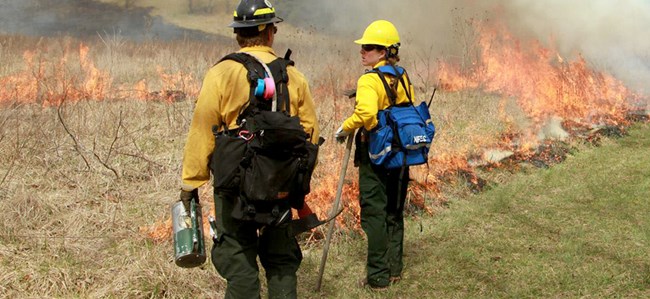 Firefighters wearing protective equipment stand along a fireline in a meadow.