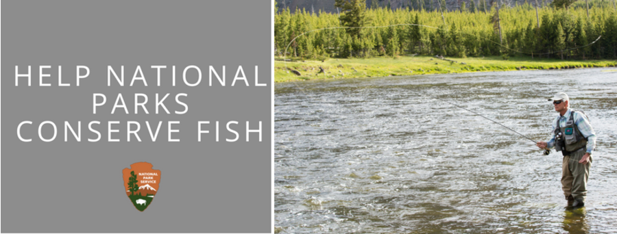 title overlay "help national parks conserve fish"  angler casting into river.
