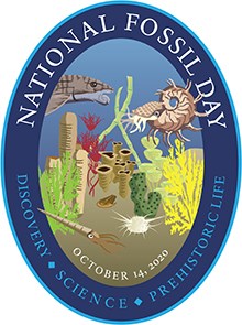 nfd badge with permian reef creatures