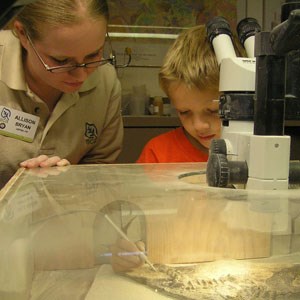 visitor using air scribe in fossil lab