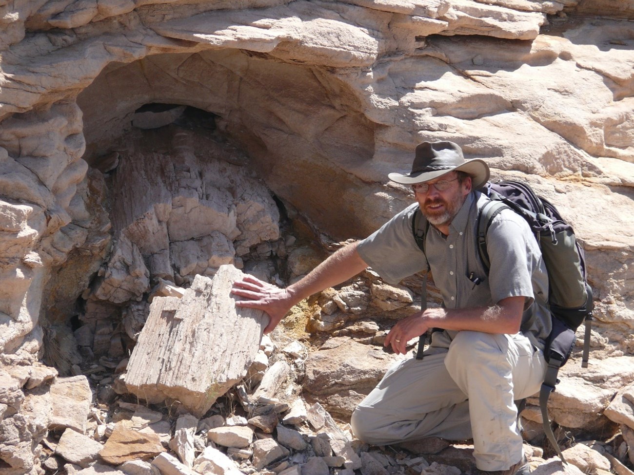 Photo of a person pointing at a section of petrified wood.