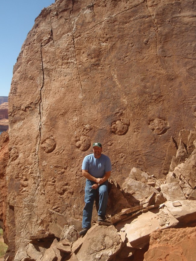 Photo of a person standing next to a large boulder face with a track of dinosaur footprints clearly visable.