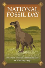 Rectangular Format National Fossil Day 2015 artwork