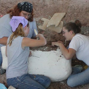 paleontologists working on fossil