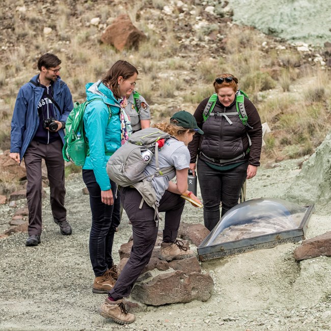 Photo of people looking at a trail side fossil exhibit.