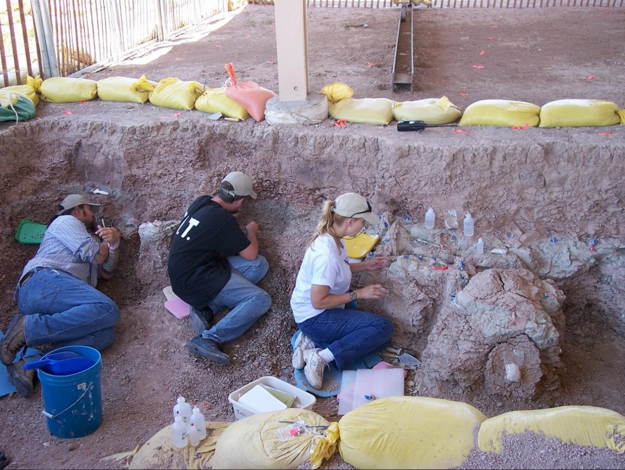 Photo of 3 people working in a fossil quarry