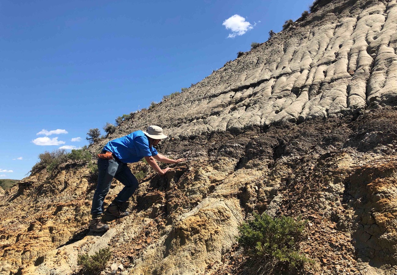 Photo of a person standing on a steep hillside looking at layered rock formations.