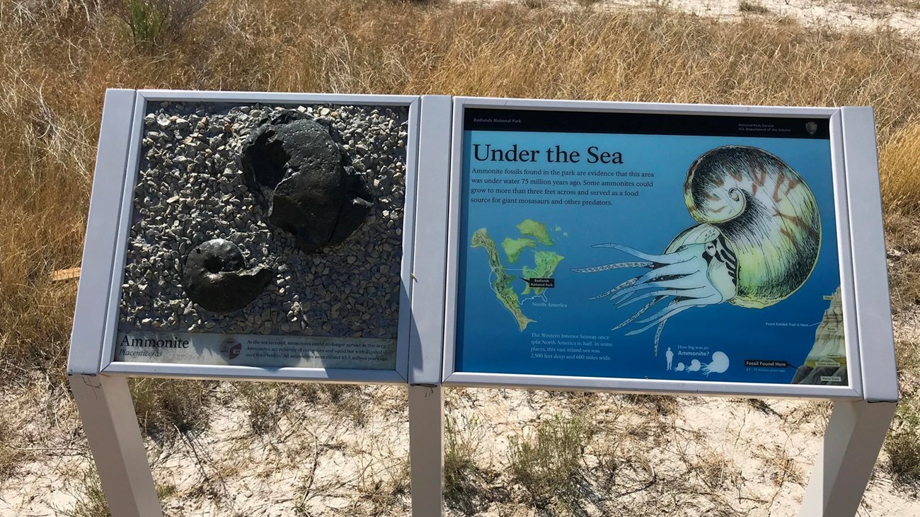 Photo of a trail side interpretive sign