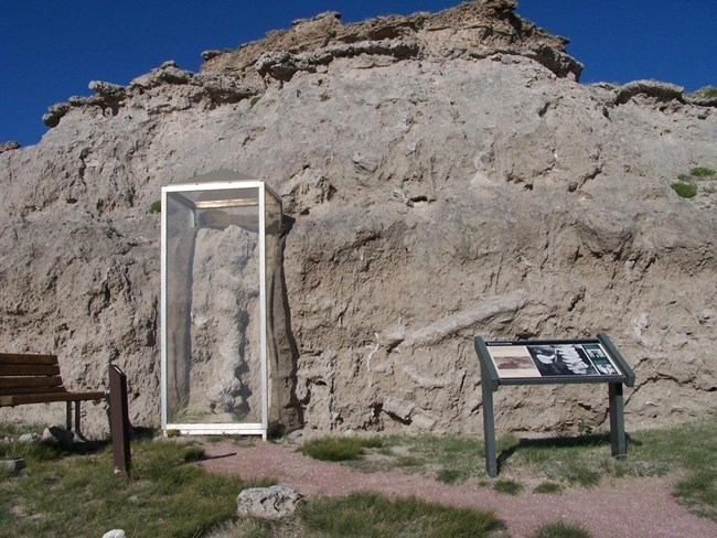 Photo of fossil displays along a rock bluff.