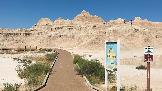 Photo of a trail and trailhead signs.