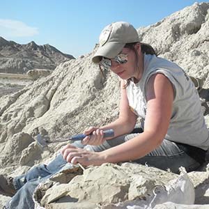 person digging fossils