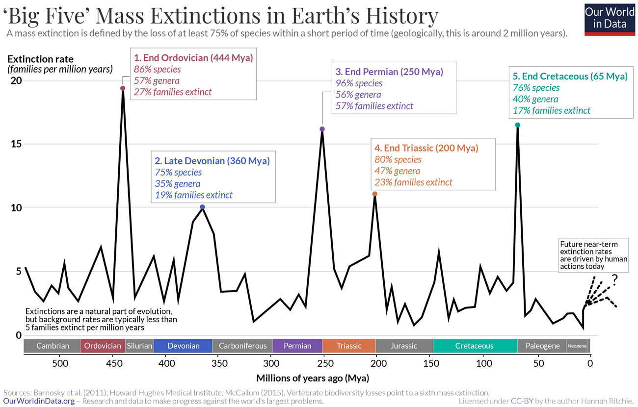 Chart showing the timing and magnitude of Earth's 5 major extinction events