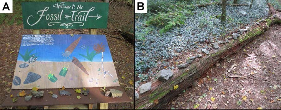 Side-by-side photos of an interpretive sign and a trail lined with fossils.