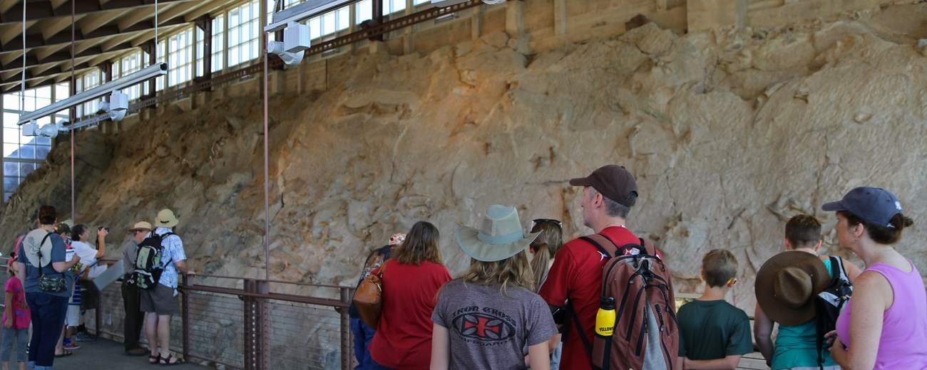 Photo of park visitors at the dinosaur quarry.