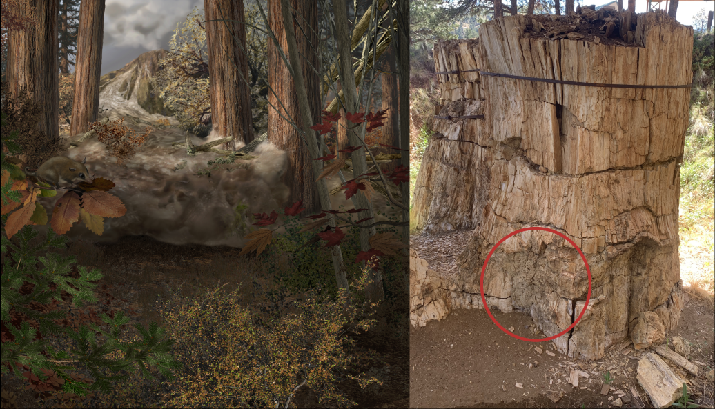 Artist rendition of an ancient forest and a photo of a fossil tree stump.