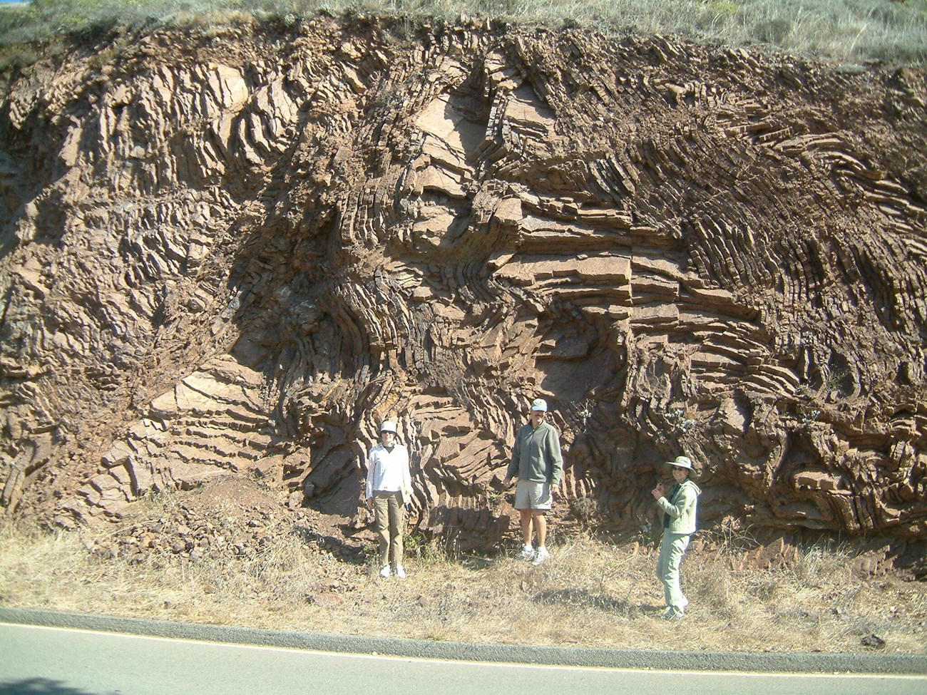 Photograph of chevron folds in radiolarian chert.