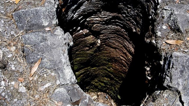 Photo looking down into a cast mold of a tree trunk in lava rock.