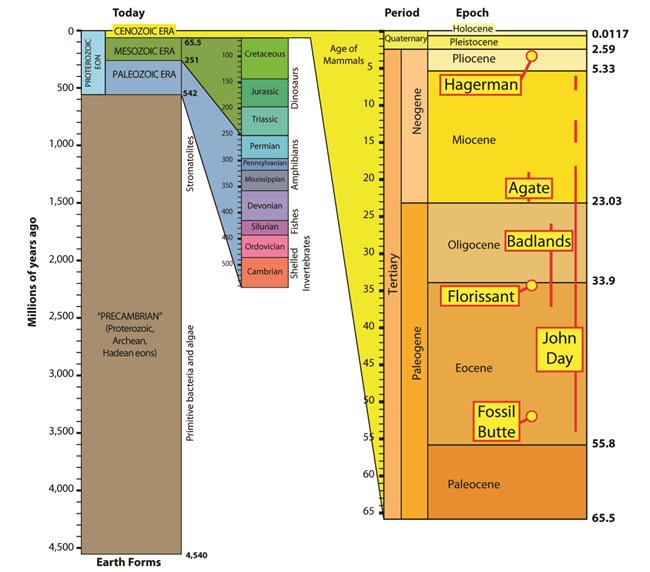 Geologic time scale