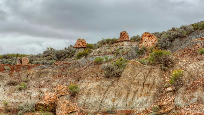 Photo of badlands with fossil tree stumps.