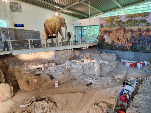 Photo of the inside of a visitor center with a quarry and murals.