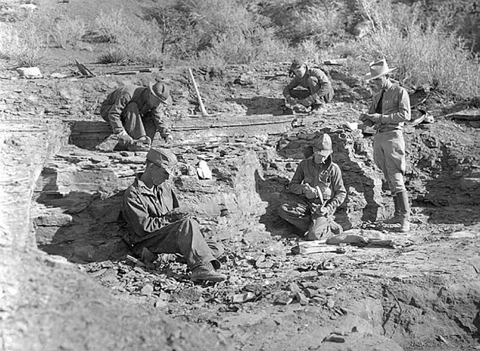 workers in quarry