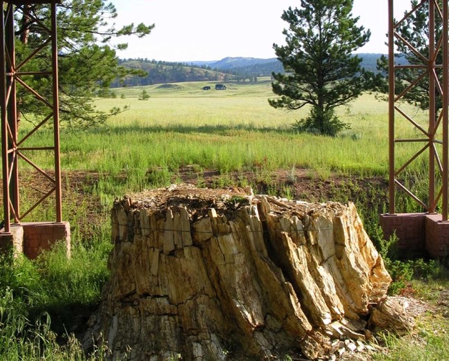 View of Florissant valley through a shelter that covers a petrified redwood