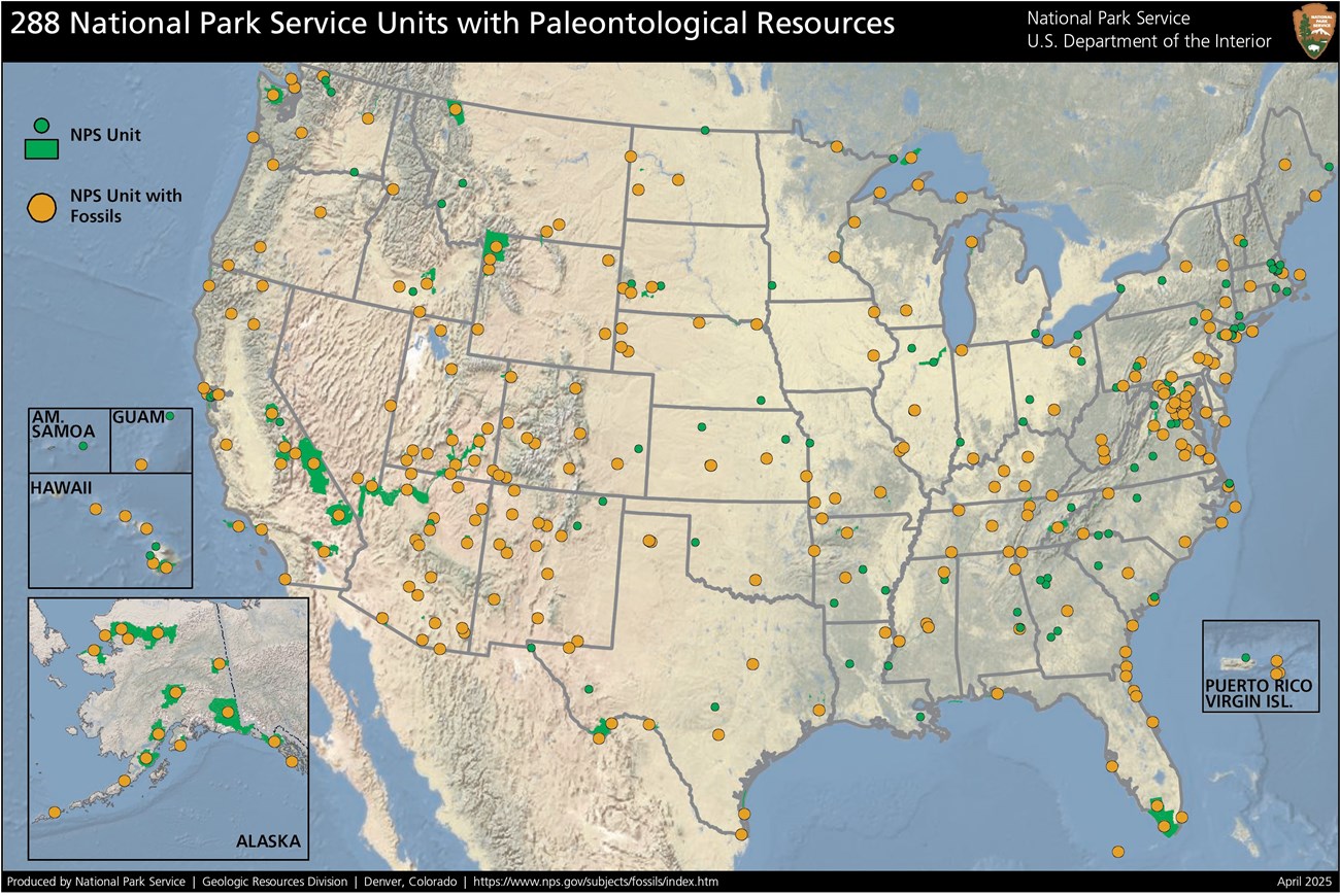 map showing the location of 288 parks with fossils. Park locations are green dots. Fossil parks are yellow dots.