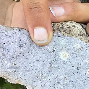 Photo of a light colored rock with black specks held in a persons hand.