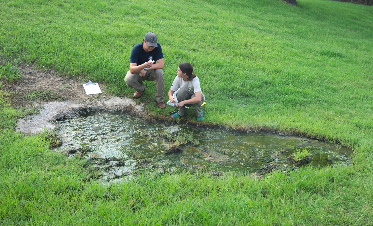 two people near a small spring in a grassy field