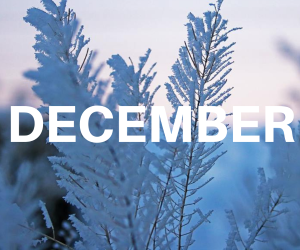 word December over background of frozen leaves