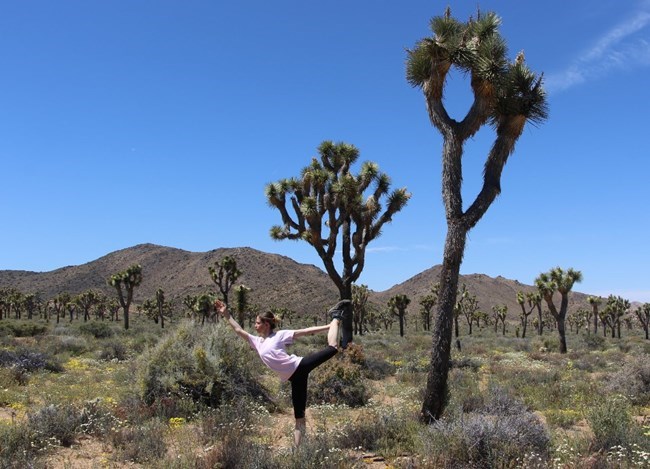 Woman practices yoga pose in desert