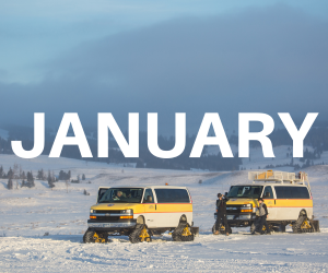 word January over background of vans in snow