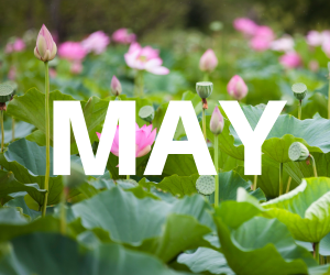 the word May written over image of flowers