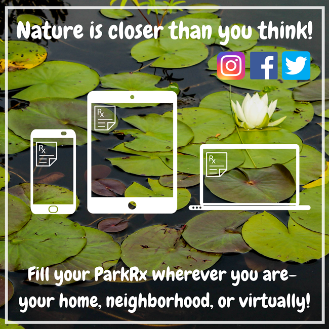 ParkRx graphic