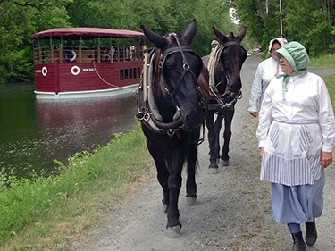 Two brown mules pull a school group on a red canal boat along the Lehigh Canal at the National Canal Museum