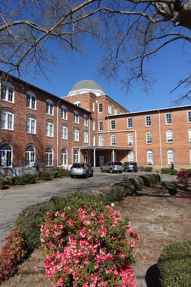 Exterior photograph of brick building with tree and shrub in foreground.