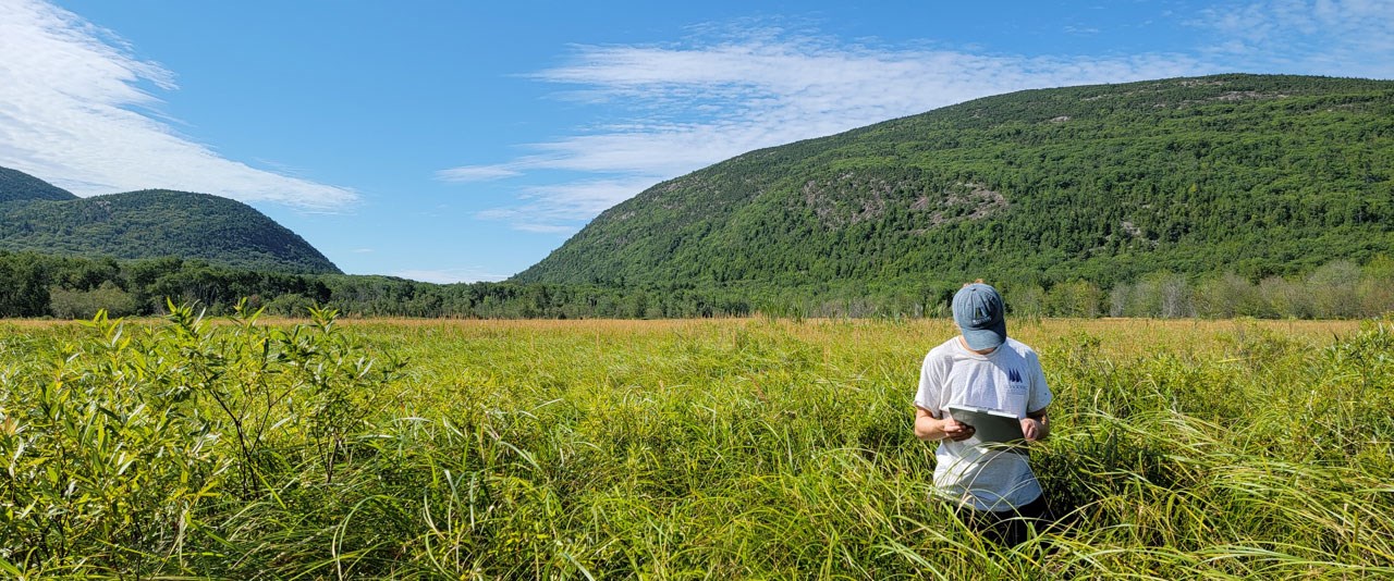 a person holding a clipboard stands in chest high grasses with hills behind them