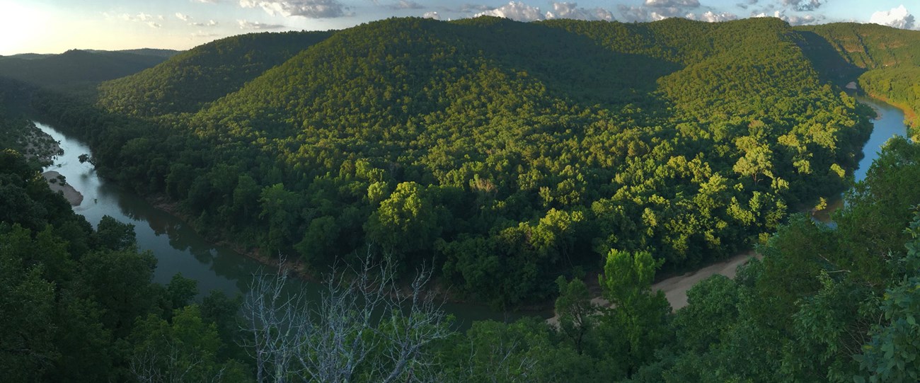 a river runs through a dense forest