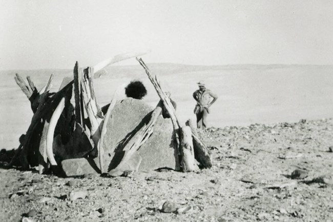 Woman posing in whalebone hut reconstructed from remains of shelter possibly built by the Lone Woman. Photo taken in 1941. Courtesy of Los Angeles County Museum of Natural History.