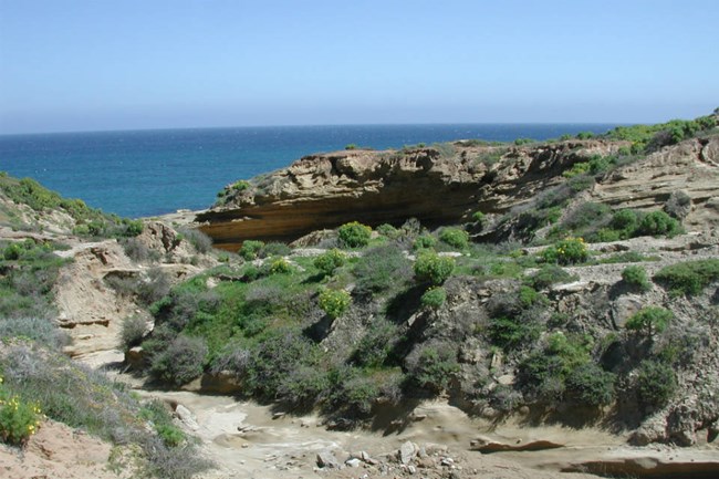 brown canyon walls covered with green shrubs with view of ocean in background