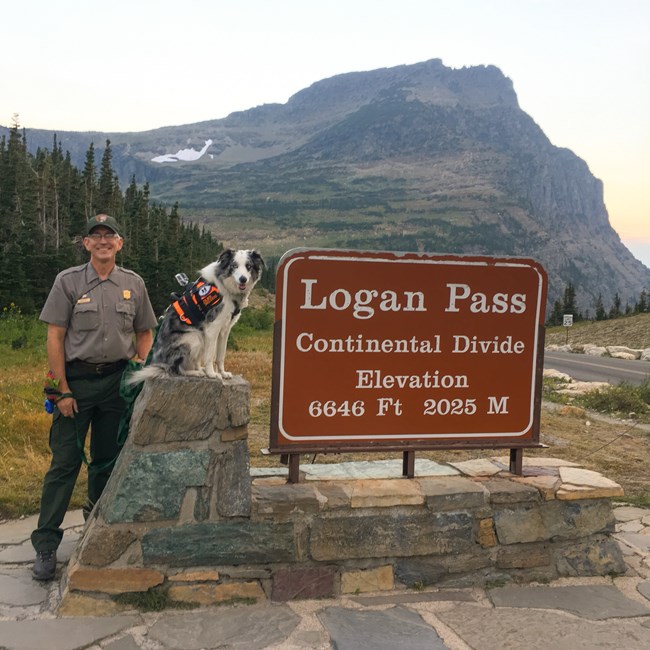 Park ranger with dog stands next to large brown sign reading, "Logan Pass," with mountains in the background.