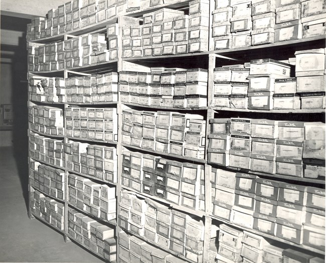 Small boxes on shelves in museum storage