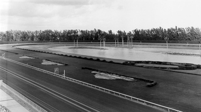 Hialeah Park track and infield lake.