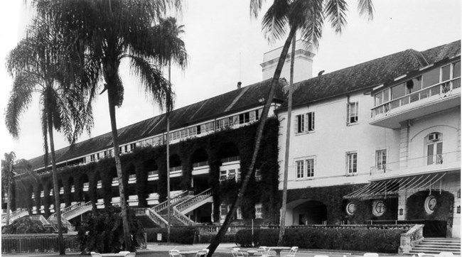 grandstand and clubhouse with palm trees in foreground