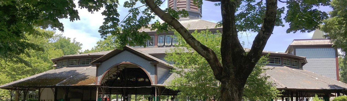 Martha's Vineyard Campground Tabernacle nestled behind trees in Wesleyan Grove