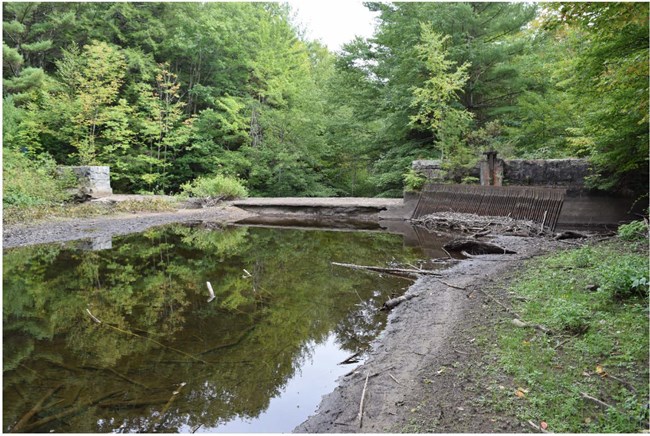 Diverson Dam in wooded area