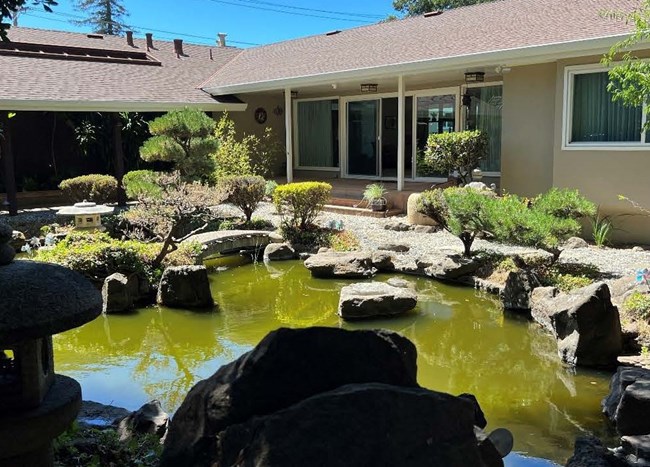 Image of single story house with pond and landscaping.