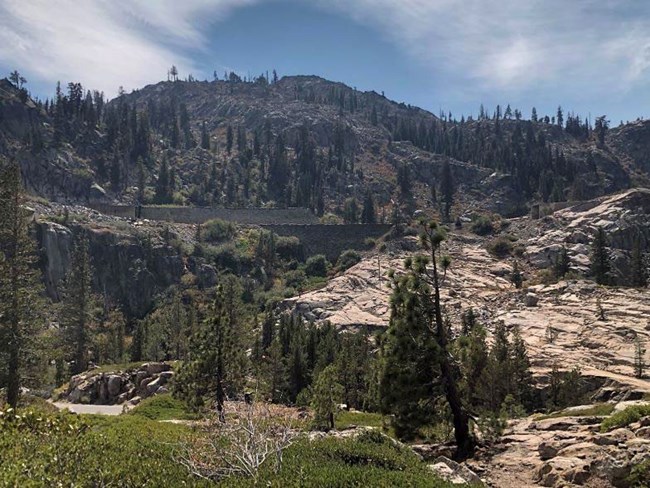 Rocky mountainous landscape sparsely populated with conifers.