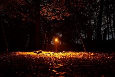 light at night at Penn State Arboretum