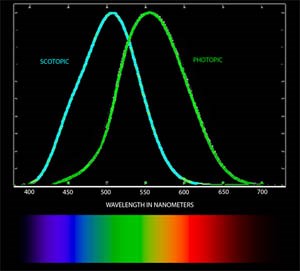 Scotopic and Photopic light wavelengths, two visual functions of the human eye, are plotted here in nanometers, showing sensitivity by the color of light received.